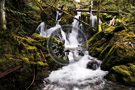 Creek -002_DSC_8726