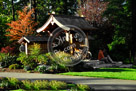 Gorge_Park_02_KMT6730