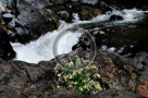 Sooke_River_003_KTA7684