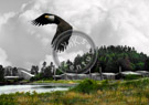 The_Heritage_Center_with_Eagle_Haida_Gwaii