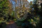 Fall_Scene_Galloping_Goose_002